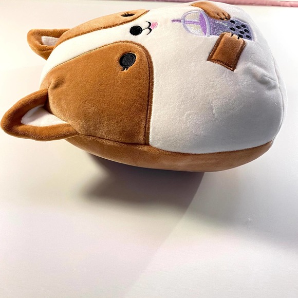 boba squishmallow corgi